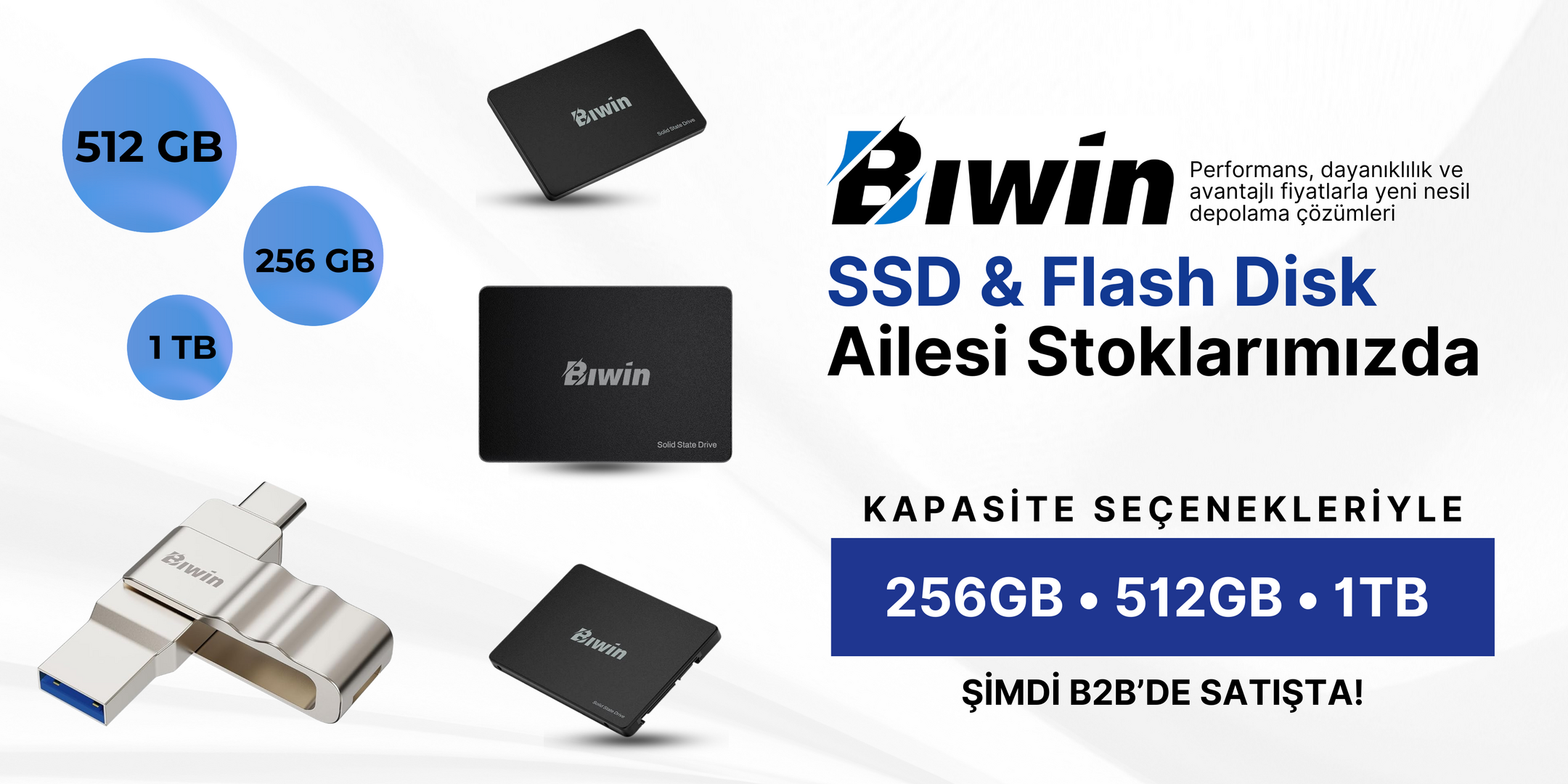 Biwin SSD/Flash Disk